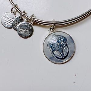 Alex and Ani Unexpected Miracles Watercolor Bangle
